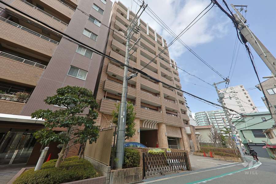 ドルフ阿倍野松崎町の外観（南東側から）