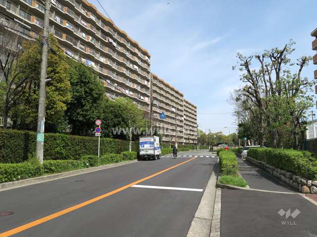 敷地北側の前面道路