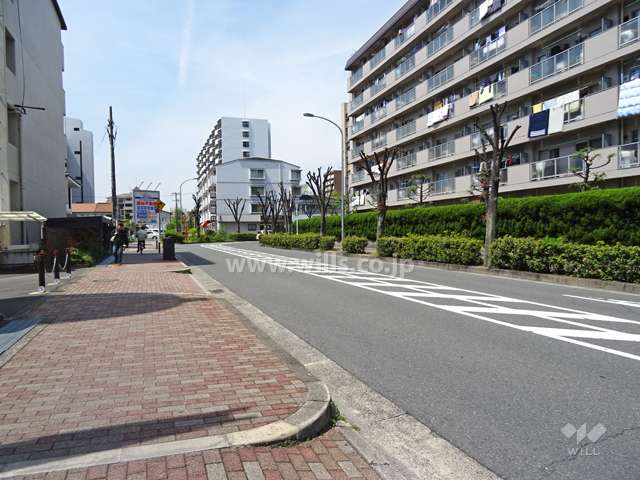 敷地北側の前面道路