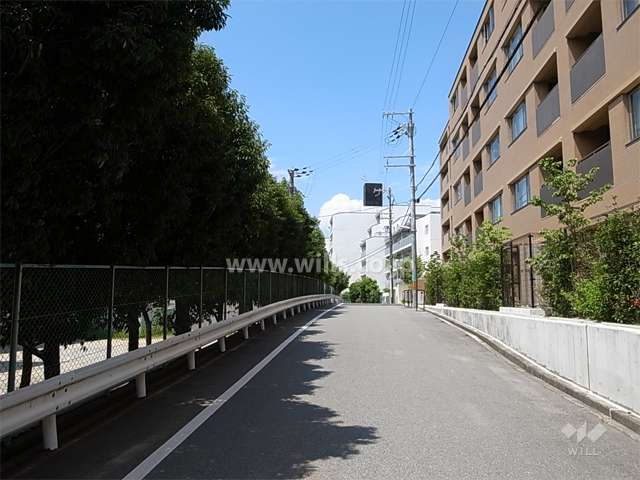 敷地南側の前面道路。道を挟んで『東泉丘小学校』です。