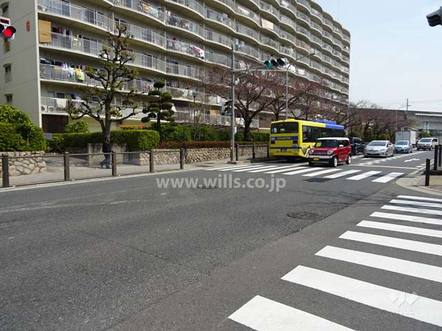敷地南側の前面道路