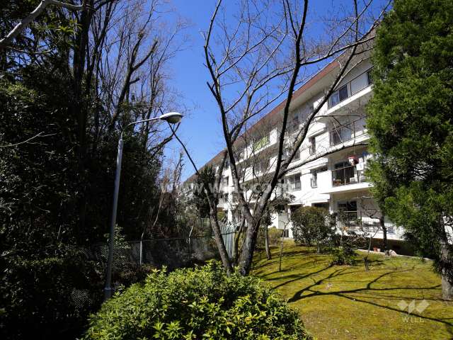 敷地南側には山林が広がり、たいへん緑豊かです。