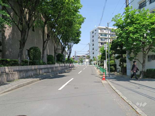 敷地西側の前面道路 