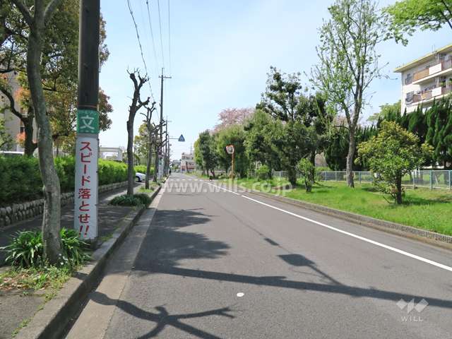 敷地北側の前面道路