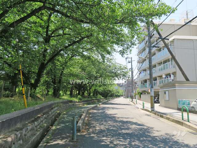 敷地東側の前面道路。緑地帯になっています。