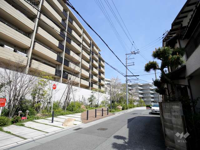 敷地南側の前面道路