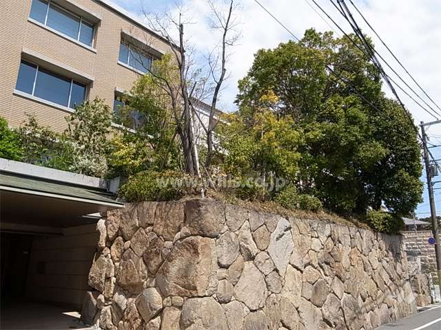 前面道路沿いには立派な石積みがあり、敷地内は木々が多く緑豊かです。