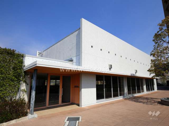 アリーナ