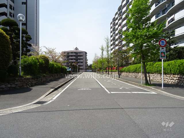 敷地南側の前面道路