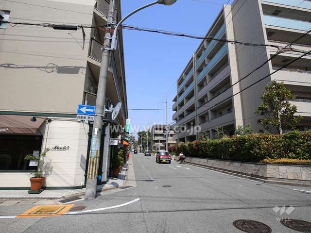 敷地西側の前面道路（二車線のバス通り）