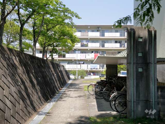 敷地西側の様子