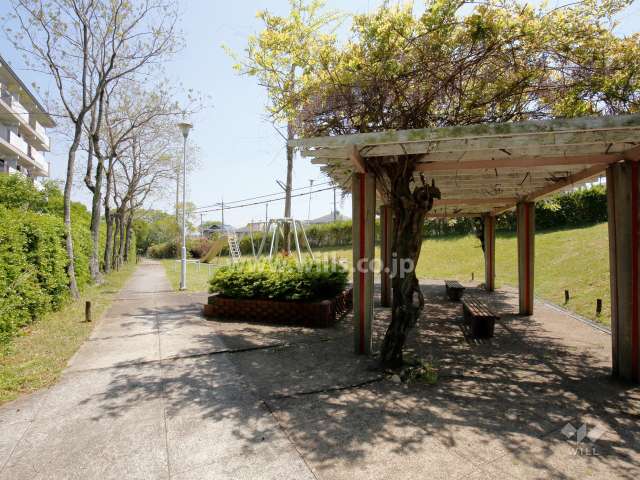 南側には藤棚、公園があります。