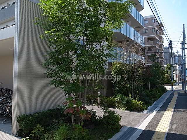 北側前面道路との間には植栽スペースが設けられています。