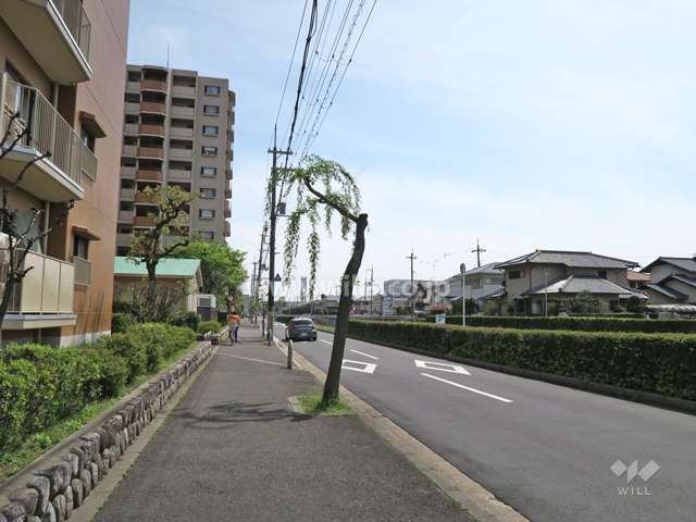 敷地西側の前面道路