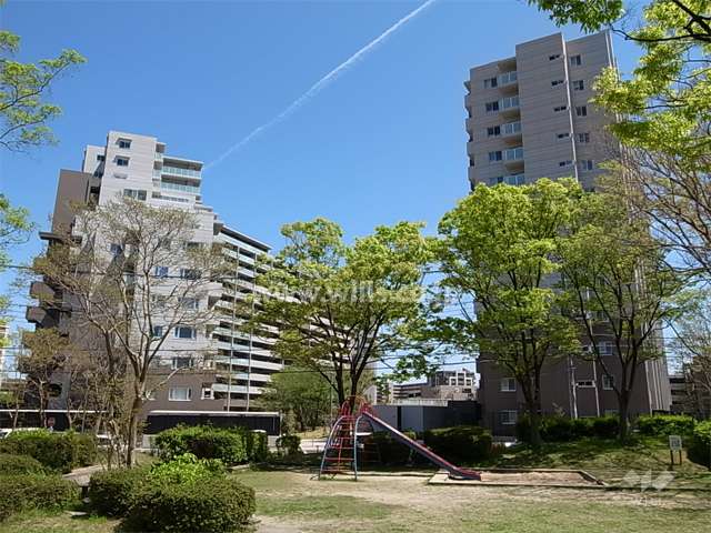 敷地の西側には緑豊かな『にれのき公園』があります。