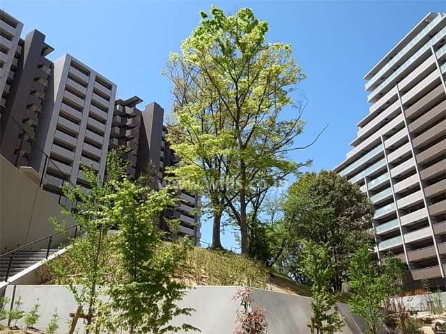 敷地中央にあるおもひでの森