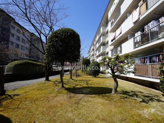 A15棟の南側の緑地