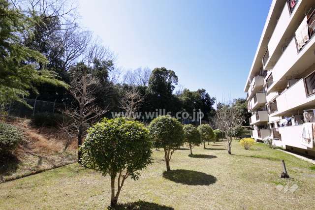 敷地南側には広い庭と山林があり、たいへん緑豊かです。