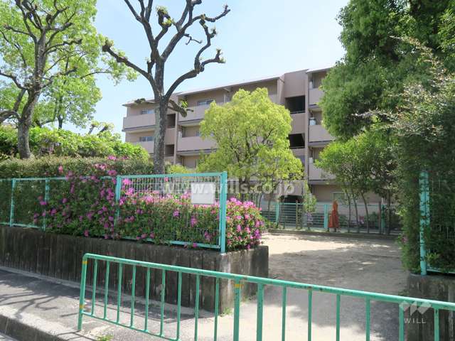 敷地北側の公園