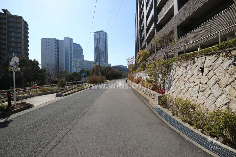 敷地南側の前面道路