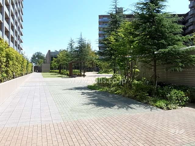 スカイヴィラとソレイユヴィラの間にある中庭