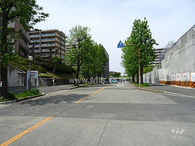 敷地東側の前面道路