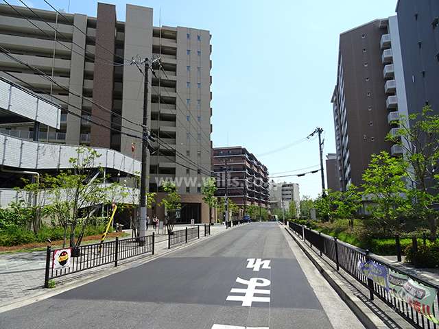 敷地西側の前面道路