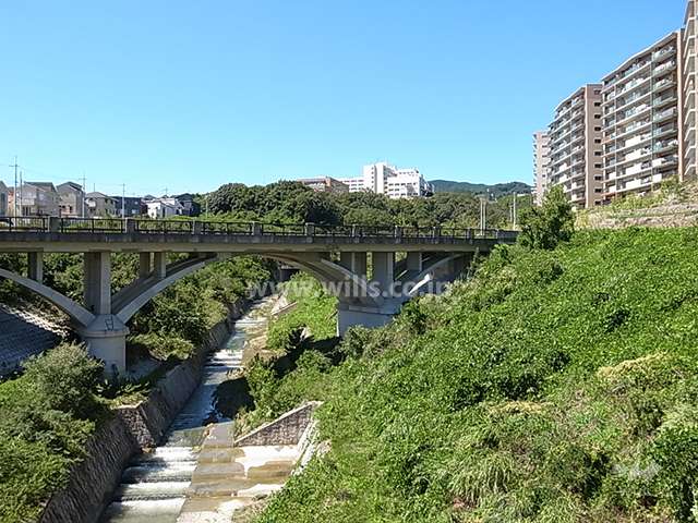 敷地の南西側には川が流れ、向かい側には森が広がっています。