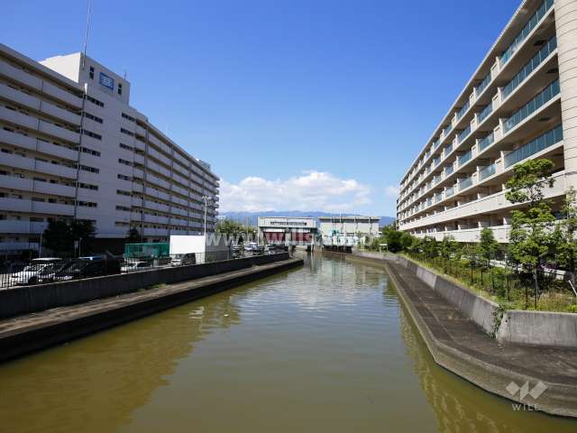 敷地南側を新川が流れています。