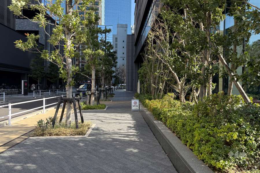 敷地の北東側前面道路（北西側から）