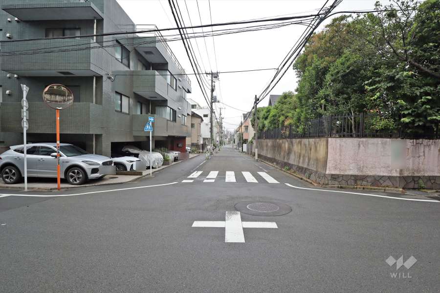 敷地の南西側前面道路（北西側から）