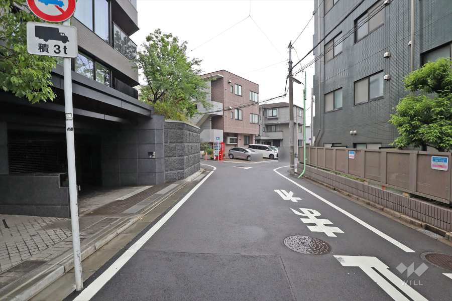 敷地の西側前面道路（北側から）