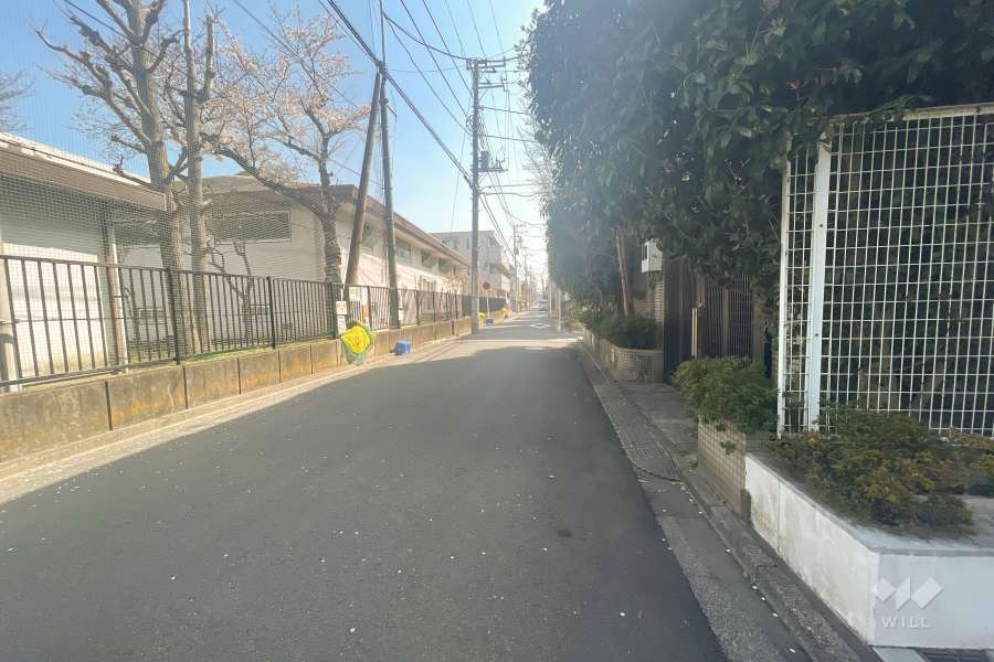 敷地の北側前面道路（西側から）