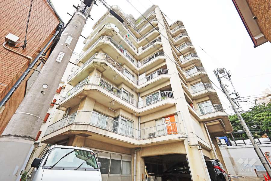 パークサイド東新宿の外観（南東側から）