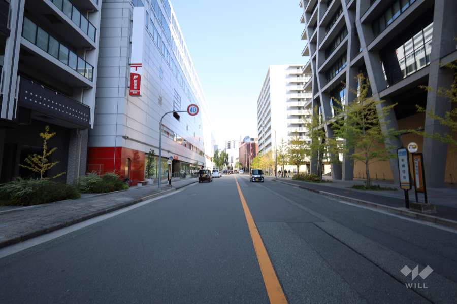 敷地の南側前面道路（西側から）