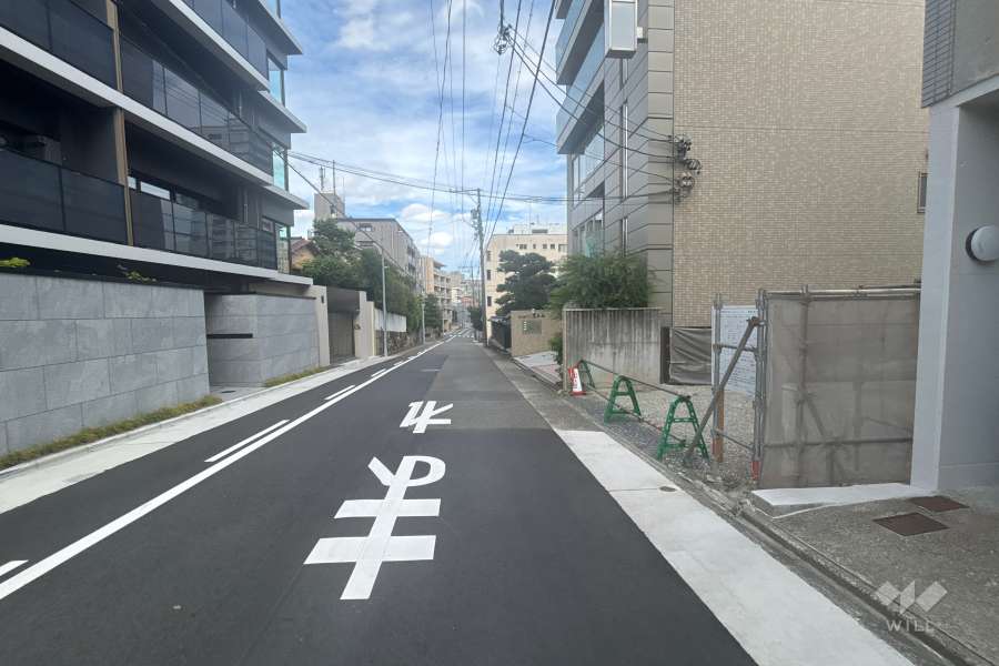 敷地南側の前面道路(西側から)