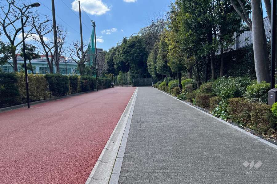 敷地南東側の前面道路　