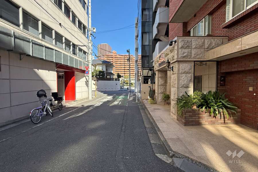 敷地の西側前面道路（南側から）