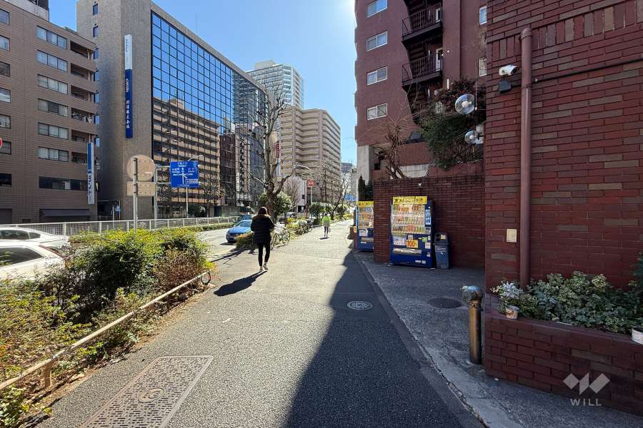敷地の東側前面道路（北側から）
