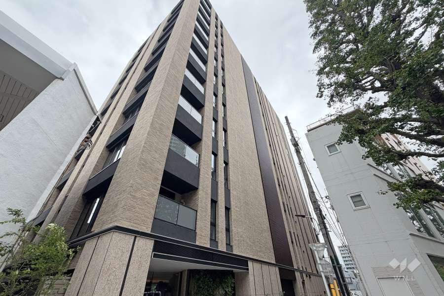 ブランズ白金台五丁目の外観（東側から）