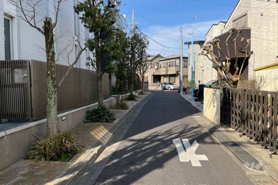 敷地の東側前面道路（南側から）