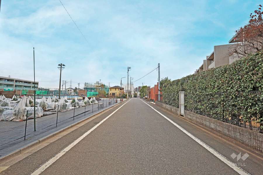 敷地北側の前面道路（西側から）