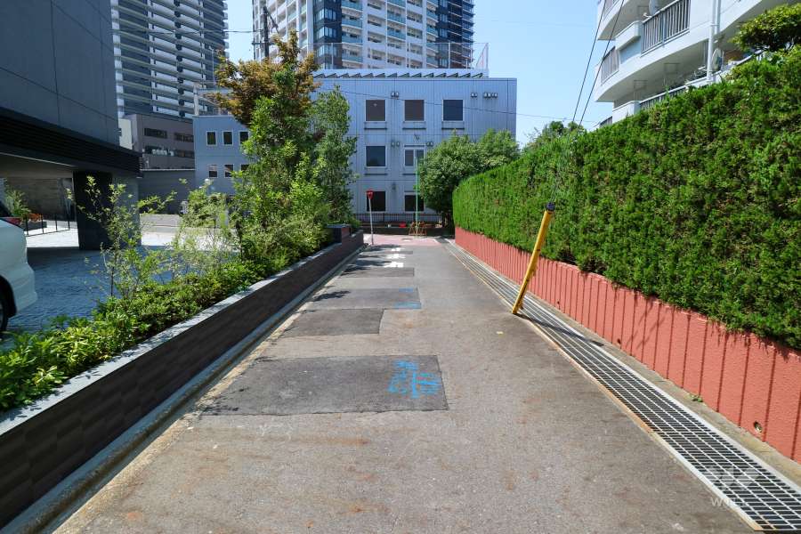 敷地北側の前面道路（東側から）