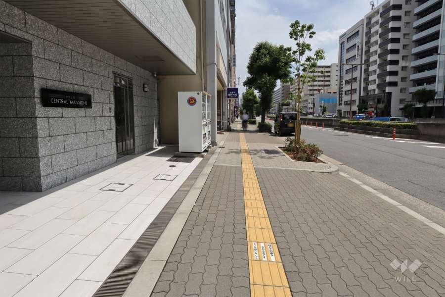 敷地西側の前面道路（北側から）