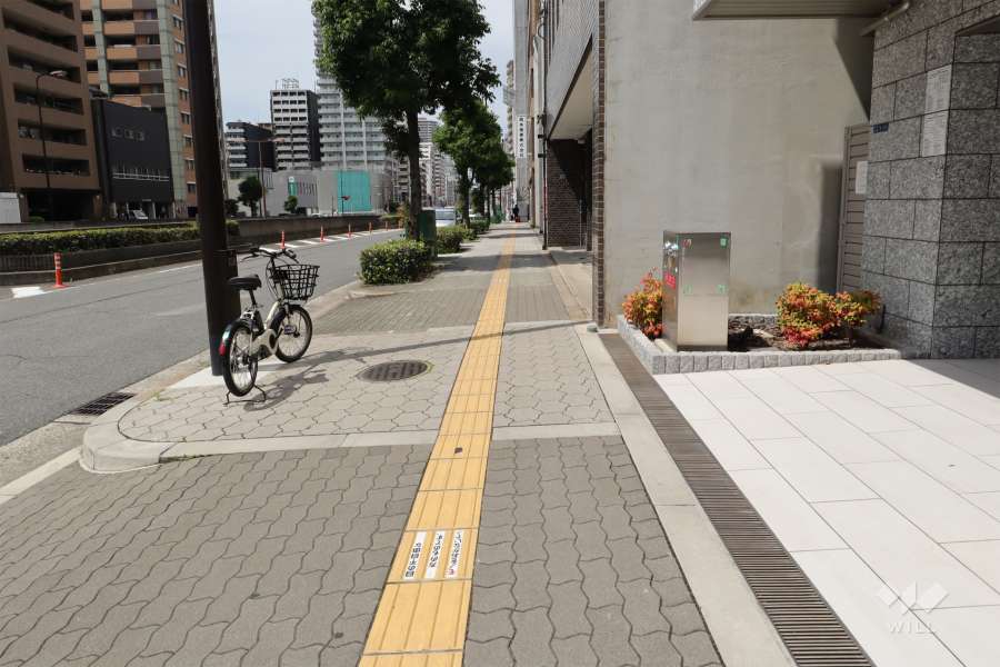 敷地西側の前面道路（南側から）