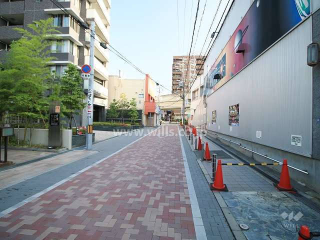 敷地東側の前面道路（南側から）