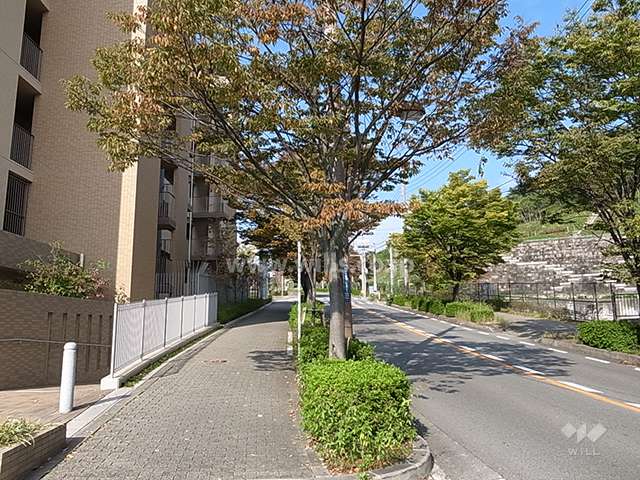 敷地北東側の前面道路。歩道があり、街路樹のきれいな通りです。