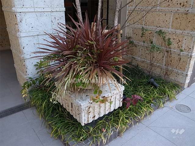 エントランスの植栽