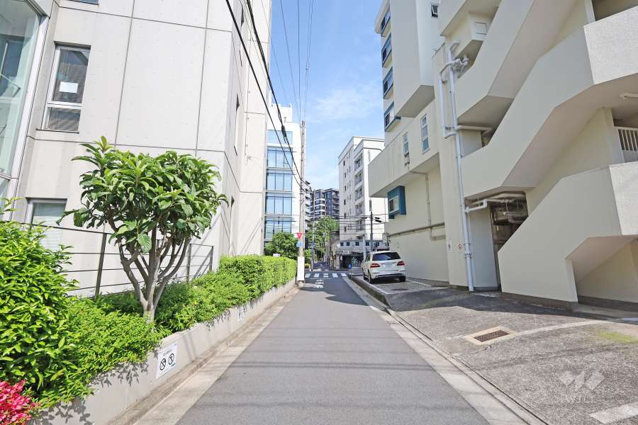 敷地西側の前面道路
