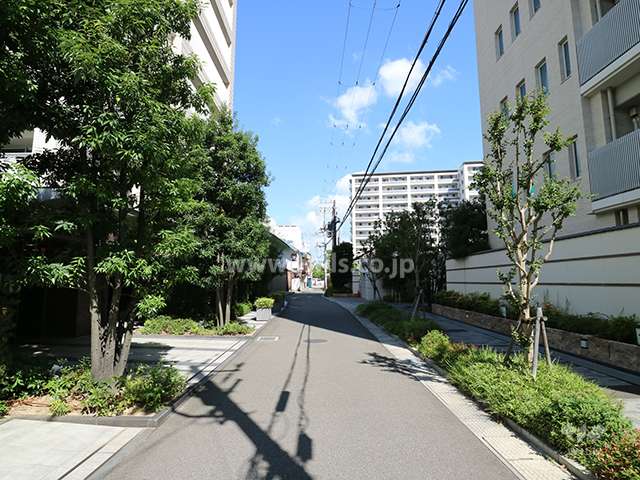 敷地西側の前面道路